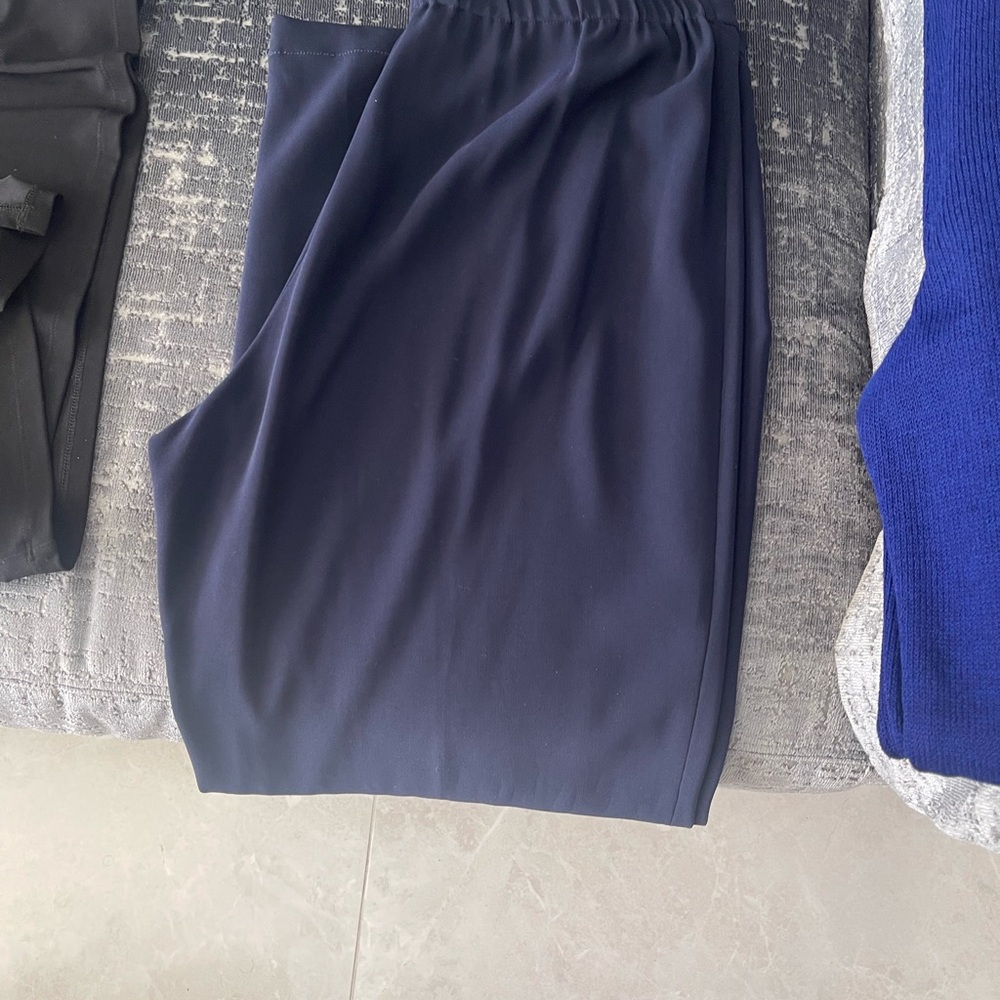St. John Collection Deep Blue Pants